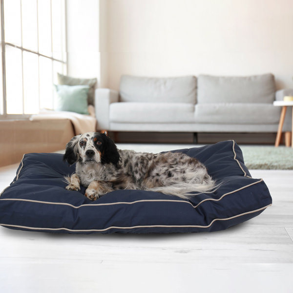 Cotton dog outlet bed